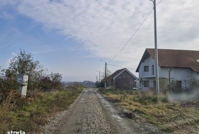 Spațiu comercial, în Balotești - 8