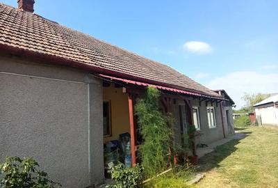 Casa cu gradina de vanzare Carei