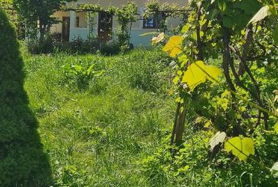 Casă cu Teren 1500 Mp în Central - 1