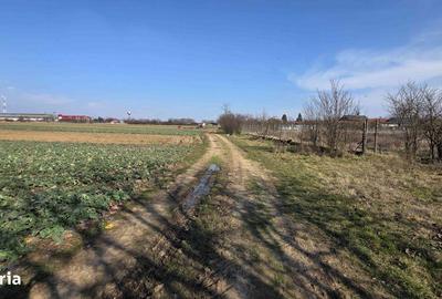 Casă cu 3 camere cu Teren 4041 Mp în Roșiori - 5