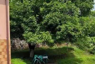 Casă cu 3 camere cu Teren 1400 Mp în Griviței - 2