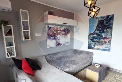 Apartament de inchiriat cu vedere la lac - 7