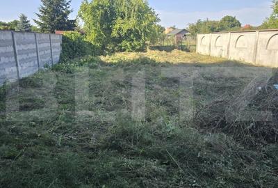 Casa cu 4 camere, 223 mp, 1330 mp teren - 10