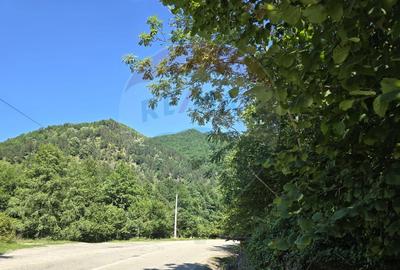 Teren de 4000 mp, în Păscoaia - 6