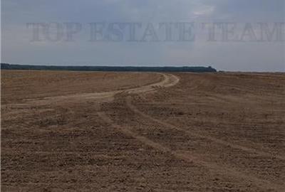 Oferim spre vanzare 6 loturi de teren extravilan (agricol) in Petrachioaia ILFOV - 9