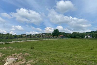 Teren Construcții intravilan de 3738 mp, în Cisnădioara - 13