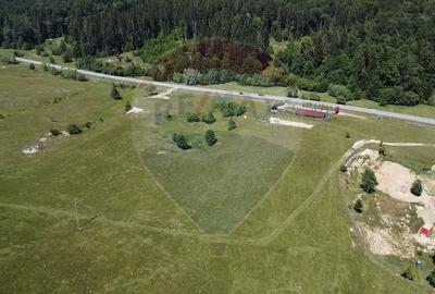 Teren agricol intravilan de 5561 mp, în Păltinoasa - 17