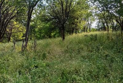 Teren de 3600 mp, în Bela - 6
