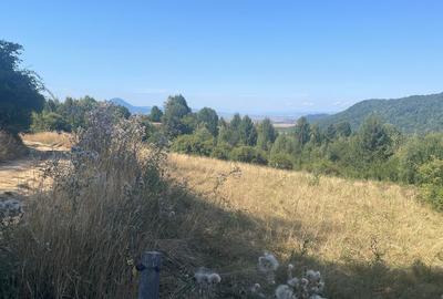 Teren de Vânzare în Râșnov, Glăjerie - Un Refugiu Perfect - 5