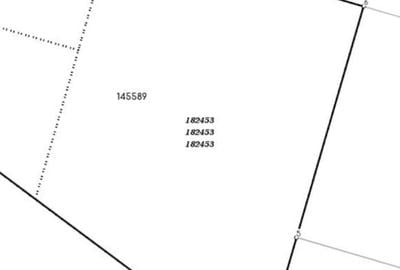 Teren agricol extravilan de 2000 mp, în Bucium - 3