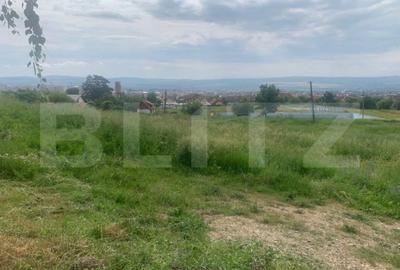 Teren de 997 mp, în Cetate - 2
