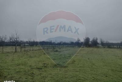 Spațiu comercial, în Cocora - 8