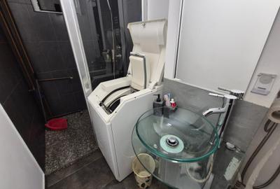 Apartament cochet -vecin parcul Botanic, intre Piata UNIRII și IULIUS MALL - 16