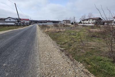 Spațiu comercial, în Cosoba