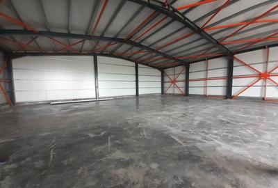 Hala noua in zona Drumul Intre Tarlale - 5