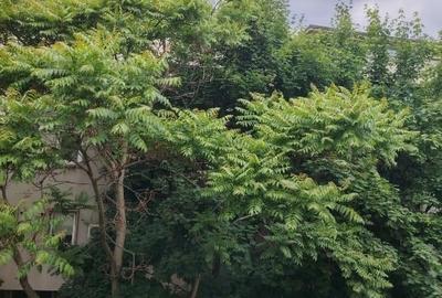 Apartament cu 2 camere nedecomandat, mobilat în Floreasca - 2
