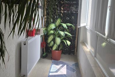 Apartament cu 3 camere semidecomandat în Dristor - 3