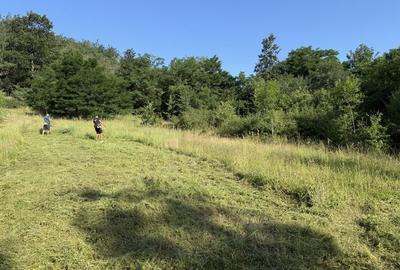 Spațiu comercial, în Pișchia - 1