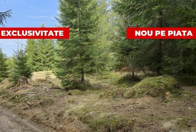 Terenuri cu PUZ, 700 - 1000+ mp, in Marisel, la 400 m de partia de Ski - 1