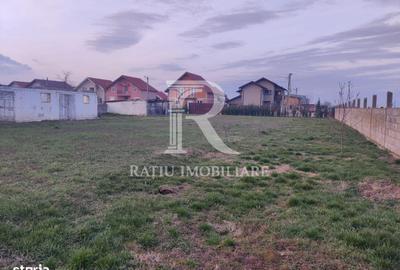 Spațiu comercial, în Girișu de Criș - 2