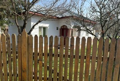 Casă individuală cu 2 camere cu Canalizare în Crivina - 4