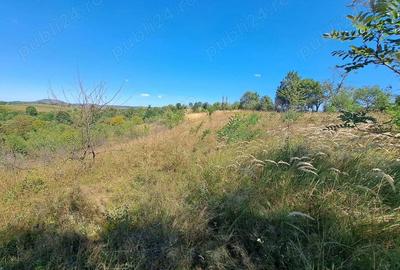 Teren intravilan in spatele Spitalului Jude?ean Re?i?a - 3