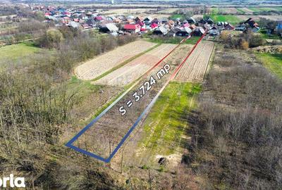 Casă cu 3 camere cu Teren 3724 Mp în Apa - 2