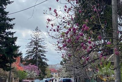 Apartament cu 3 camere în Decebal - 16