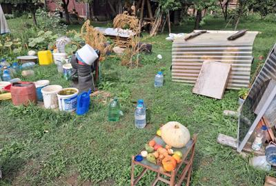 Teren de 938 mp, în Remetea - 5