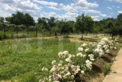 Casă cu 5 camere cu Teren 1732 Mp în Găești - 6