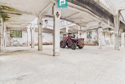 Hală de depozitare 200 mp în Periam - 2