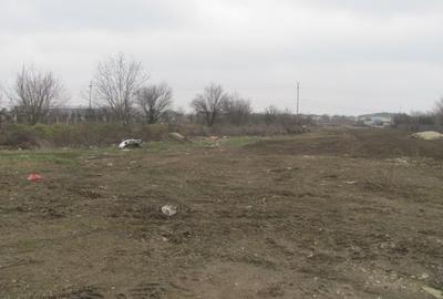 Teren Construcții intravilan de 8245 mp, în Bragadiru - 5
