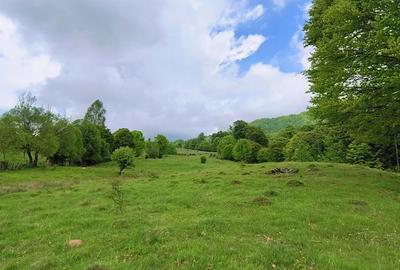 Spațiu comercial, în Mlăceni - 5