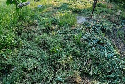 Casă cu 3 camere cu Teren 1550 Mp în Berceni - 5