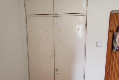 Apartament cu 3 camere decomandat în Camil Ressu - 11