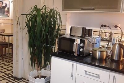 Apt si bloc renovate,deosebit, centrala proprie,Foisor-Iancului,,3 balcoane - 9
