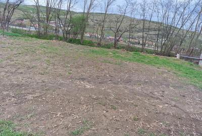 Casă cu Teren 10000 Mp în Căianu - 1