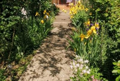 Casă individuală cu 3 camere cu Teren 937 Mp în Vlădeni - 18