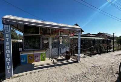 Casă cu 3 camere cu Teren 268 Mp în Malu Mare - 5