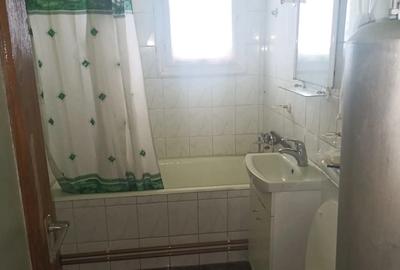 Casa tradi?ionala din piatra ?i lemn, 200 mp utili, teren 850 mp Cavnic - 7