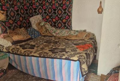 Casă cu 3 camere cu Teren 1500 Mp în Bala - 2