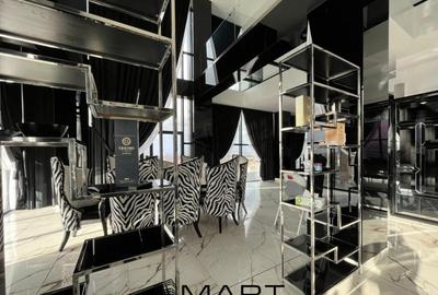 Penthouse de lux Bulevardul Mihai Viteazu - 3