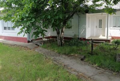 Casă cu 4 camere în Blidari (Cârligele) - 9