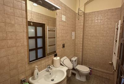 Apartament cu 5 camere decomandat în Ultracentral - 17