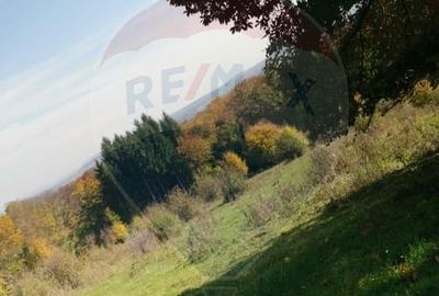 Teren de 5400 mp, în Mănești - 5