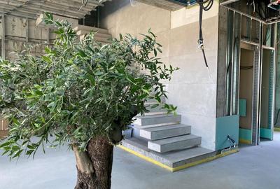 Casă individuală cu 6 camere în Petrești - 9