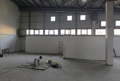 Inchiriere hala industriala 700 mp sos. Giurgiului - 10