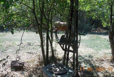 Casa taraneasca si teren comuna Murgasi sat Balota de Jos DJ - 5