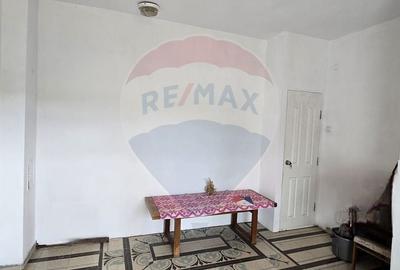 Casă cu 10 camere cu Teren 1000 Mp în Chisindia - 15