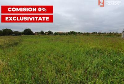 Teren Construcții intravilan de 2978 mp, în Sânmihaiu German - 3